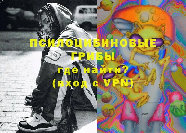ГАЛЛЮЦИНОГЕННЫЕ ГРИБЫ Володарск