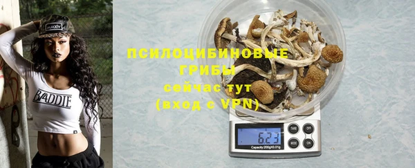 ГАЛЛЮЦИНОГЕННЫЕ ГРИБЫ Волоколамск